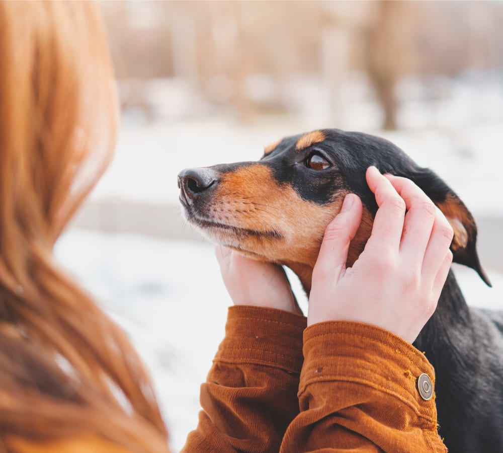 About Our Hospital | Stoney Trail Veterinary Clinic